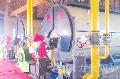 內蒙占（zhàn）飛艇基地燃油氣熱水鍋爐案例